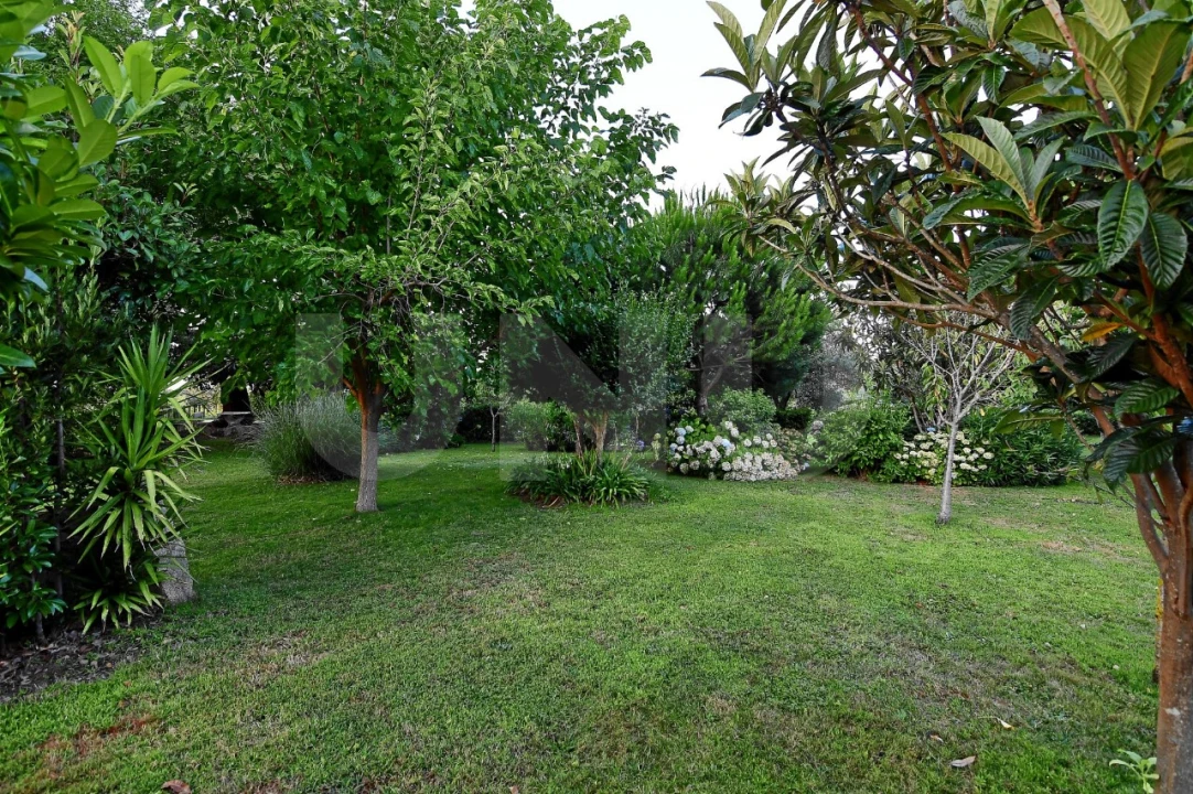 Negócio para Venda em Fundão, Valverde, Donas, A. Joanes, A. Nova Cabo Foto 78