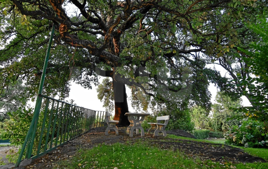 Negócio para Venda em Fundão, Valverde, Donas, A. Joanes, A. Nova Cabo Foto 81