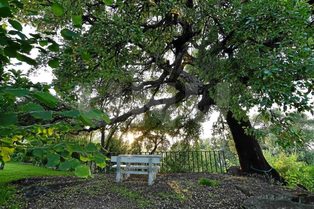 Negócio para Venda em Fundão, Valverde, Donas, A. Joanes, A. Nova Cabo Foto 83