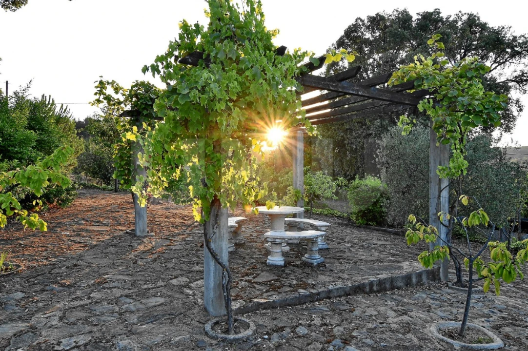 Negócio para Venda em Fundão, Valverde, Donas, A. Joanes, A. Nova Cabo Foto 88