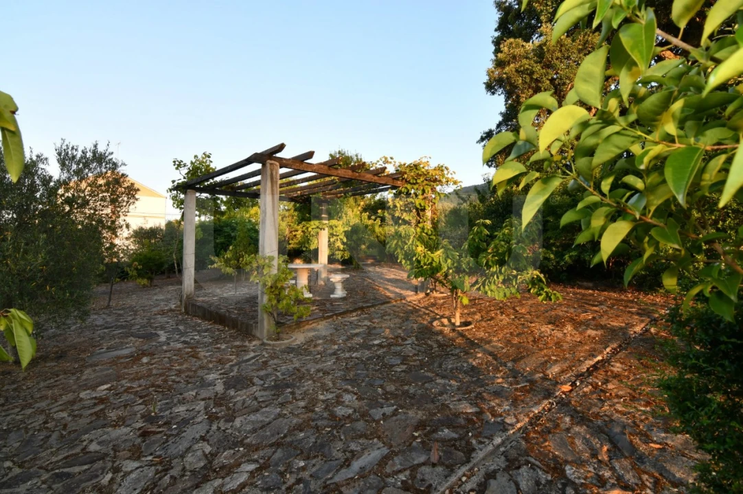 Negócio para Venda em Fundão, Valverde, Donas, A. Joanes, A. Nova Cabo Foto 90