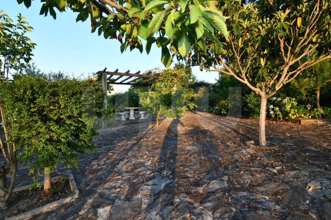Negócio para Venda em Fundão, Valverde, Donas, A. Joanes, A. Nova Cabo Foto 91