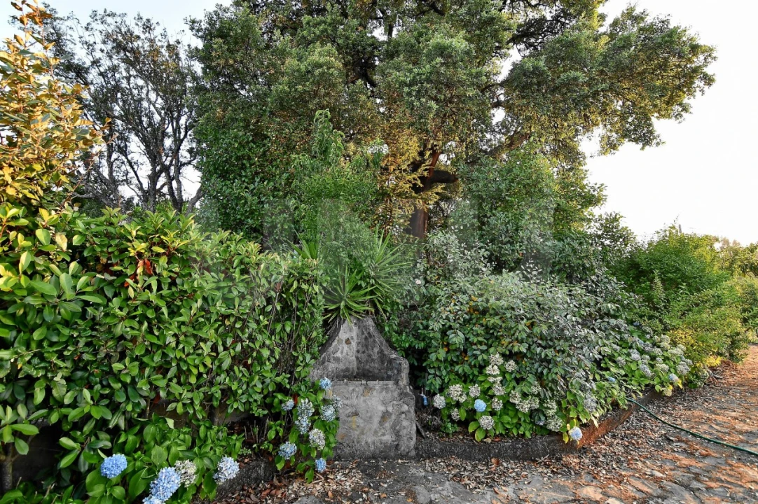 Negócio para Venda em Fundão, Valverde, Donas, A. Joanes, A. Nova Cabo Foto 94