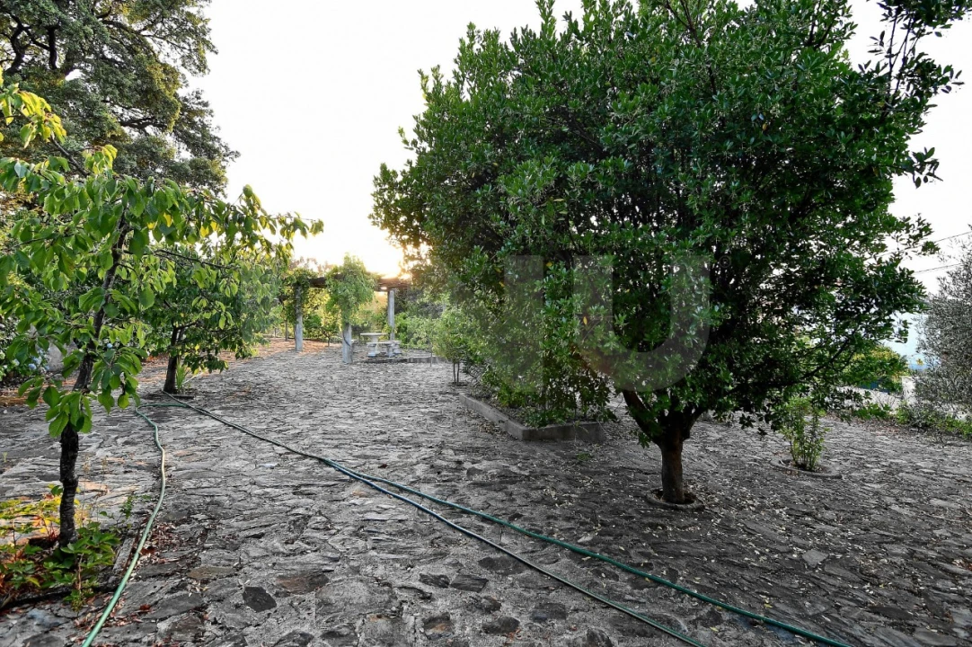 Negócio para Venda em Fundão, Valverde, Donas, A. Joanes, A. Nova Cabo Foto 97