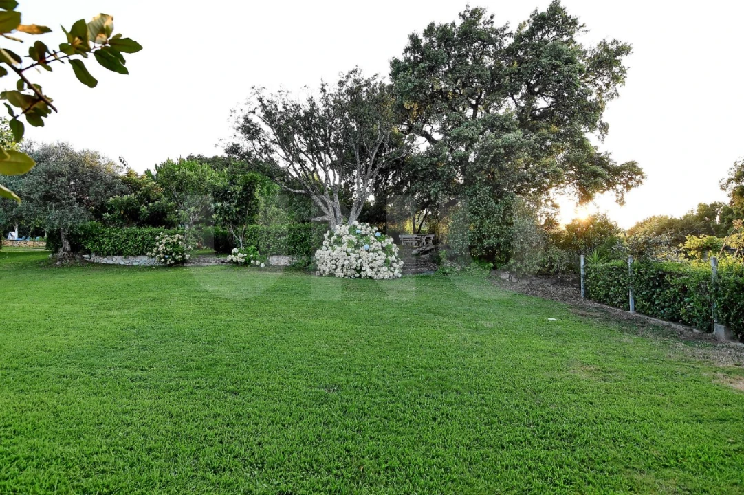 Negócio para Venda em Fundão, Valverde, Donas, A. Joanes, A. Nova Cabo Foto 98