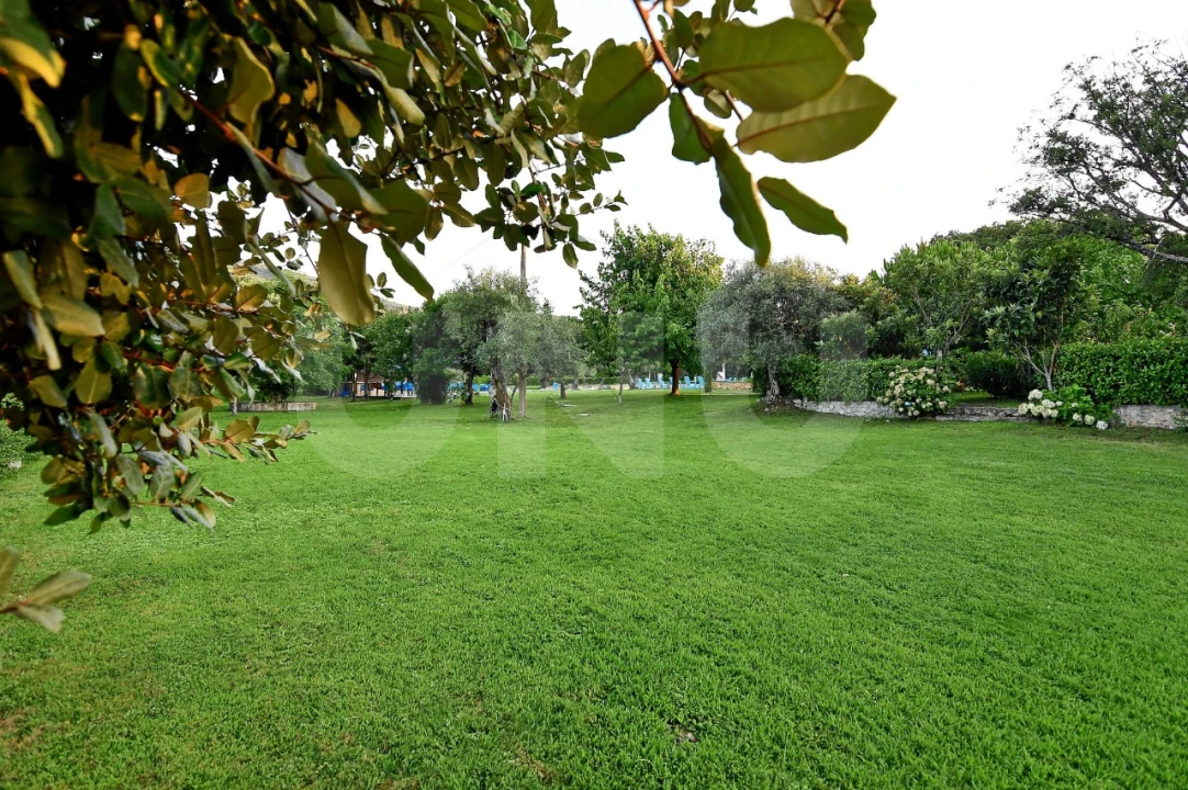 Negócio para Venda em Fundão, Valverde, Donas, A. Joanes, A. Nova Cabo Foto 99