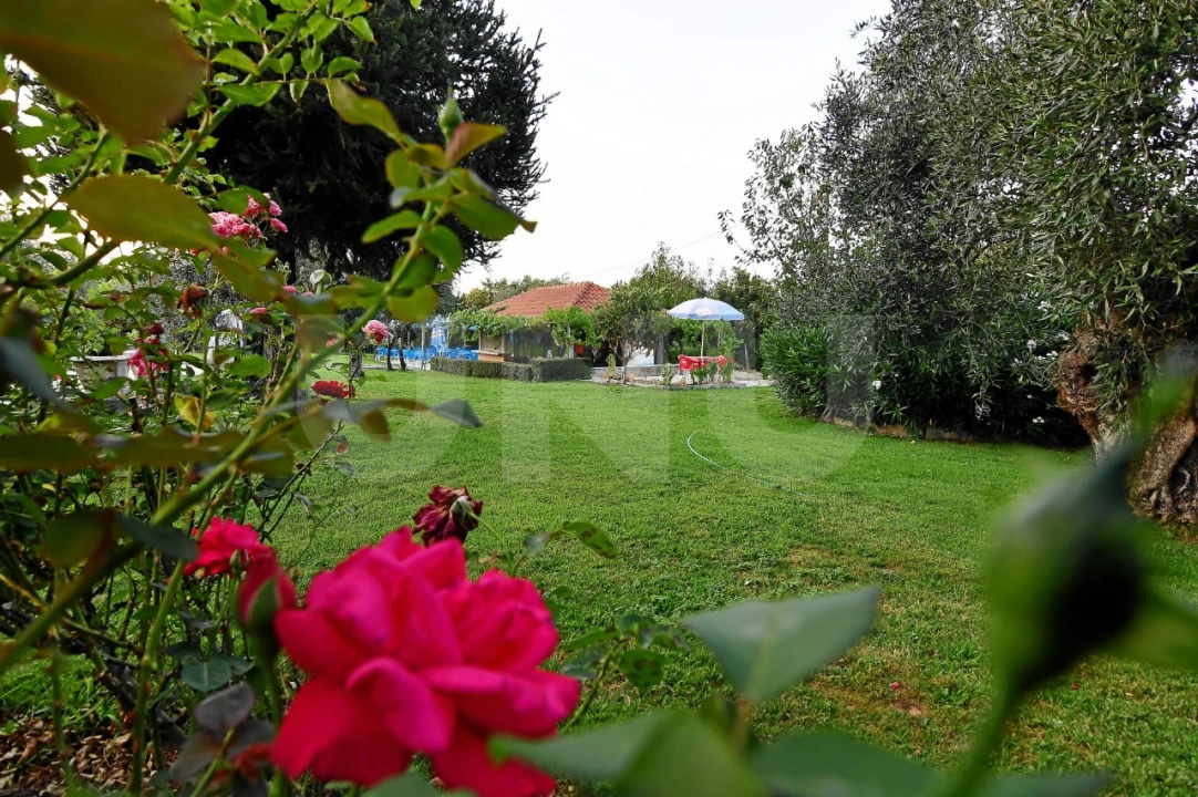 Negócio para Venda em Fundão, Valverde, Donas, A. Joanes, A. Nova Cabo Foto 113