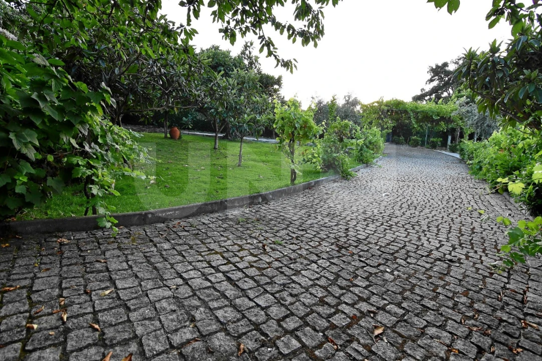 Negócio para Venda em Fundão, Valverde, Donas, A. Joanes, A. Nova Cabo Foto 114