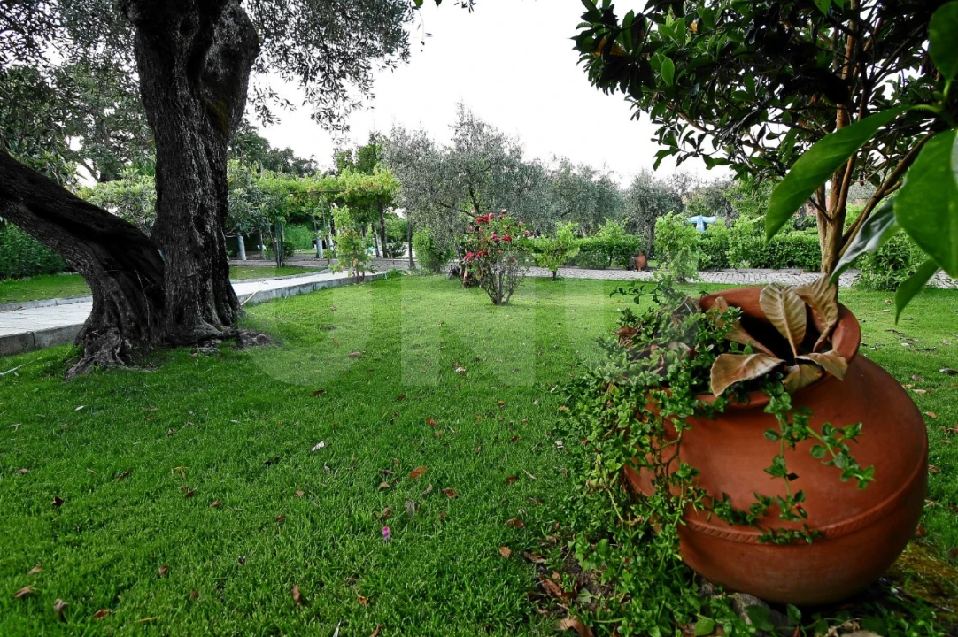 Negócio para Venda em Fundão, Valverde, Donas, A. Joanes, A. Nova Cabo Foto 116