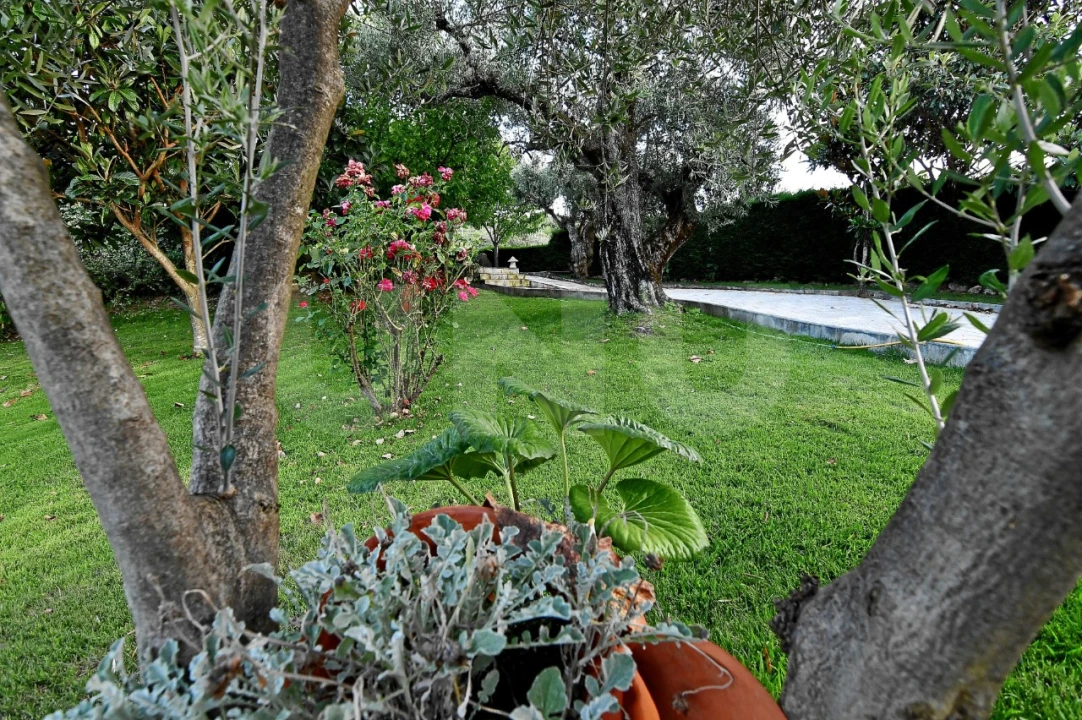 Negócio para Venda em Fundão, Valverde, Donas, A. Joanes, A. Nova Cabo Foto 117