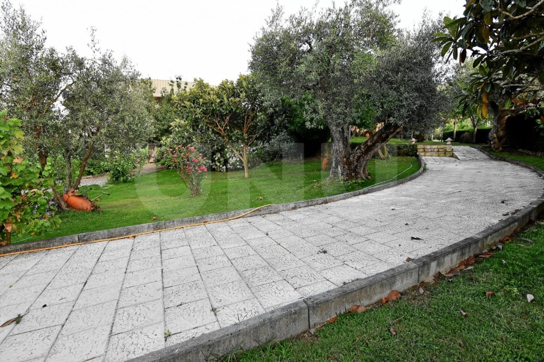 Negócio para Venda em Fundão, Valverde, Donas, A. Joanes, A. Nova Cabo Foto 118