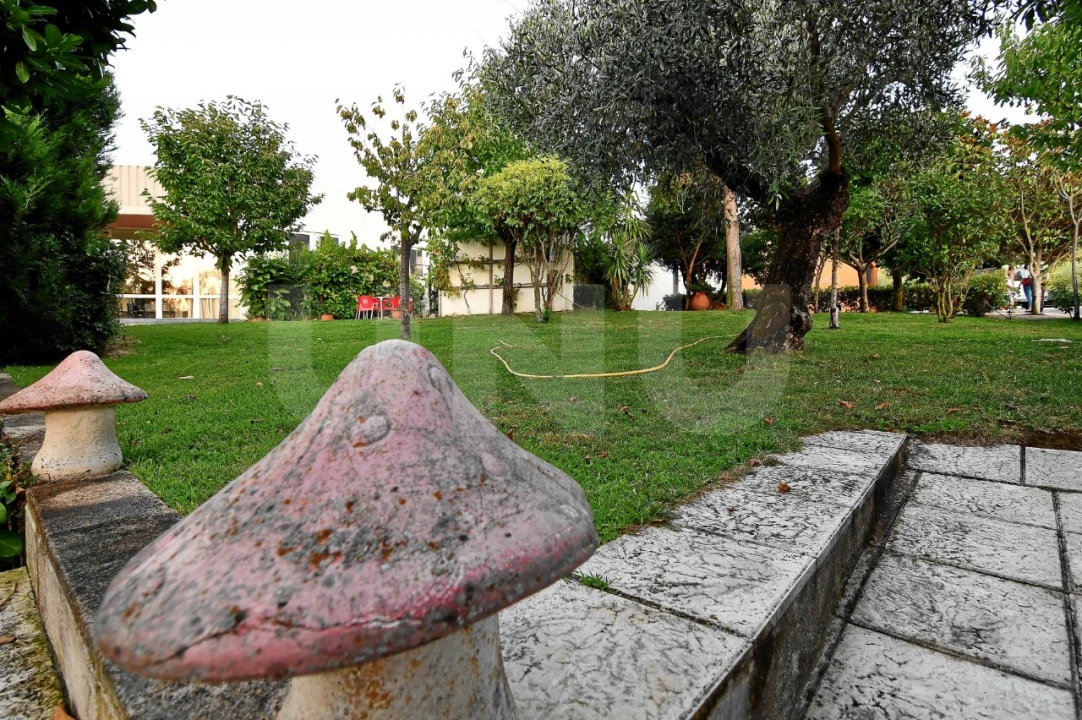 Negócio para Venda em Fundão, Valverde, Donas, A. Joanes, A. Nova Cabo Foto 120