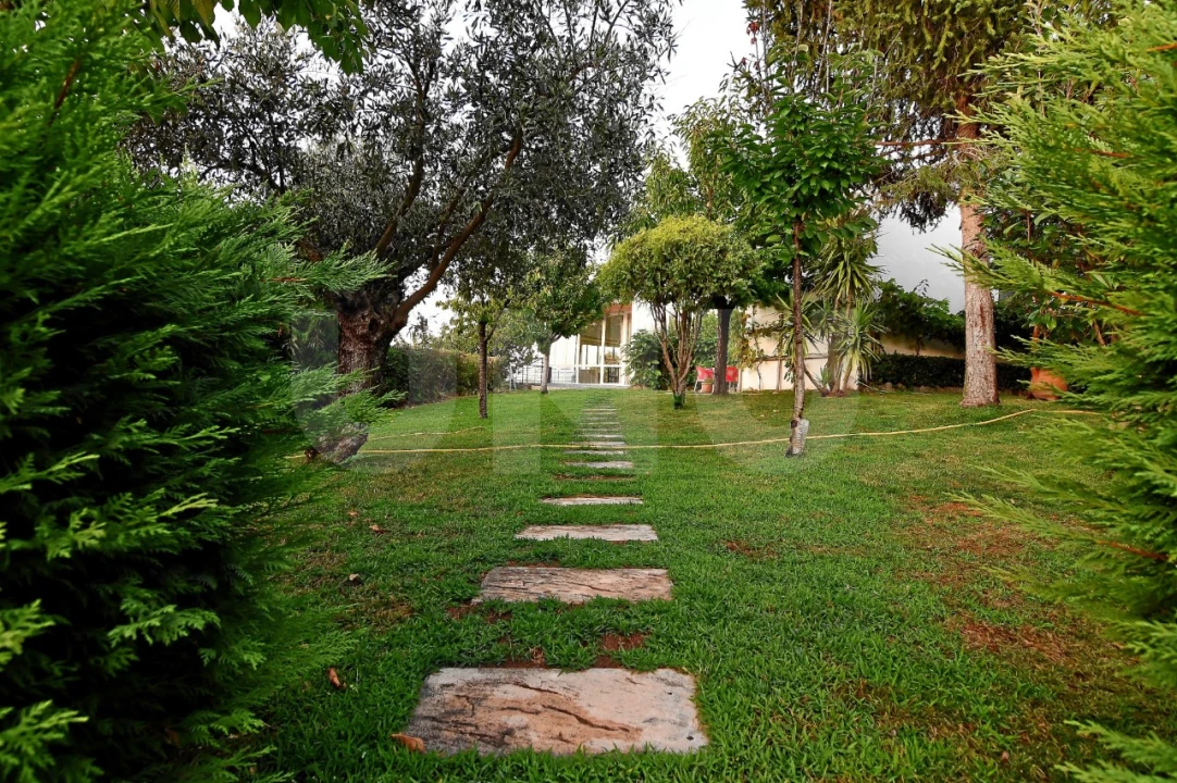 Negócio para Venda em Fundão, Valverde, Donas, A. Joanes, A. Nova Cabo Foto 121