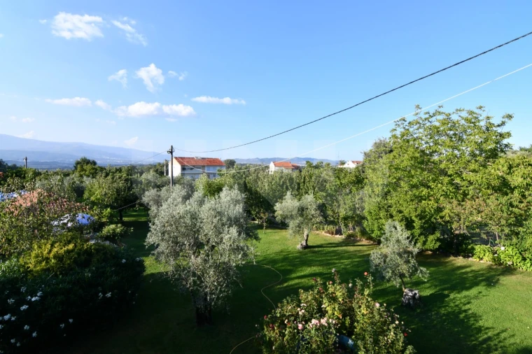 Negócio para Venda em Fundão, Valverde, Donas, A. Joanes, A. Nova Cabo Foto 8