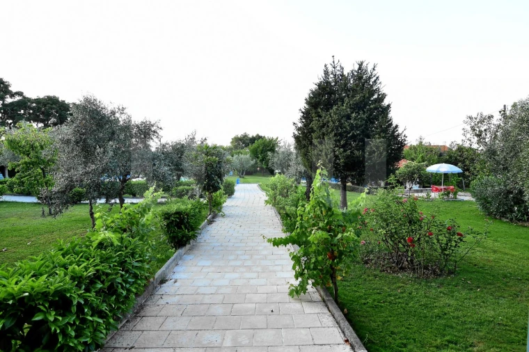 Negócio para Venda em Fundão, Valverde, Donas, A. Joanes, A. Nova Cabo Foto 41