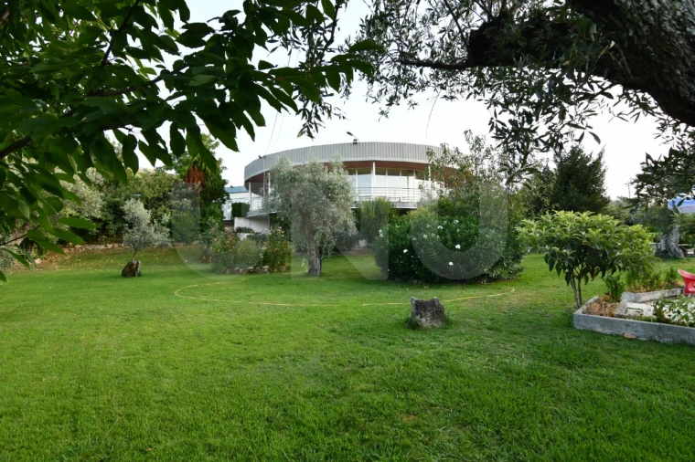 Negócio para Venda em Fundão, Valverde, Donas, A. Joanes, A. Nova Cabo Foto 47
