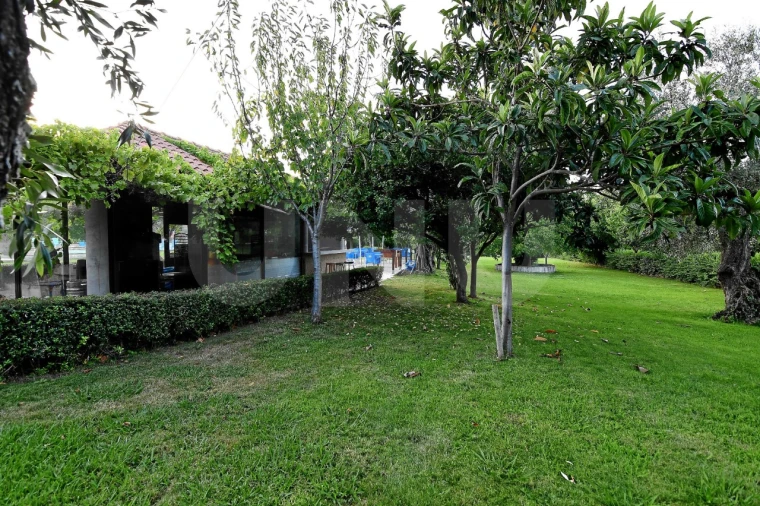 Negócio para Venda em Fundão, Valverde, Donas, A. Joanes, A. Nova Cabo Foto 48