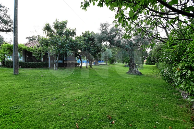 Negócio para Venda em Fundão, Valverde, Donas, A. Joanes, A. Nova Cabo Foto 49