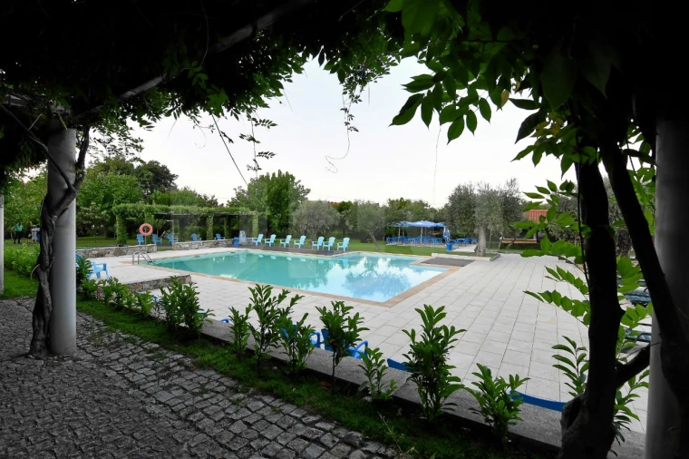 Negócio para Venda em Fundão, Valverde, Donas, A. Joanes, A. Nova Cabo Foto 67