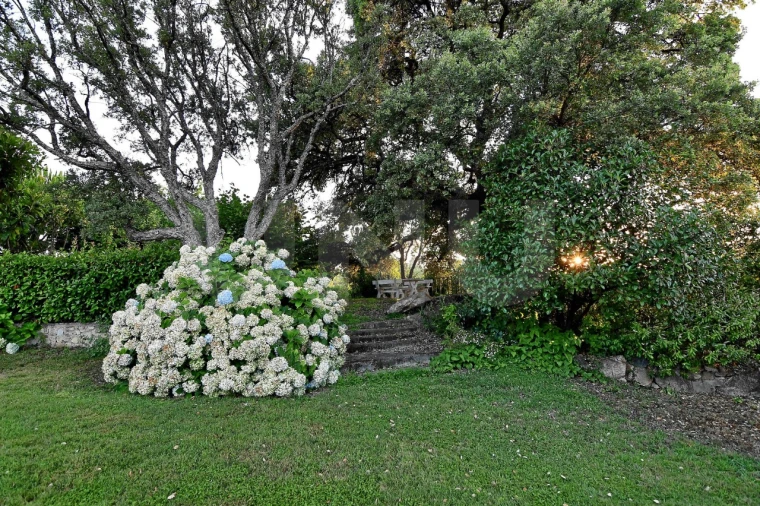 Negócio para Venda em Fundão, Valverde, Donas, A. Joanes, A. Nova Cabo Foto 84