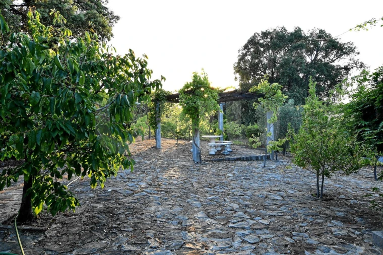 Negócio para Venda em Fundão, Valverde, Donas, A. Joanes, A. Nova Cabo Foto 87