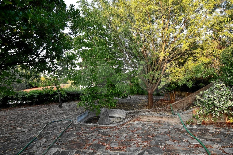 Negócio para Venda em Fundão, Valverde, Donas, A. Joanes, A. Nova Cabo Foto 95