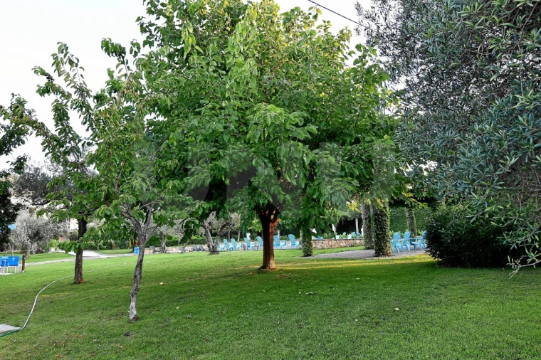 Negócio para Venda em Fundão, Valverde, Donas, A. Joanes, A. Nova Cabo Foto 100