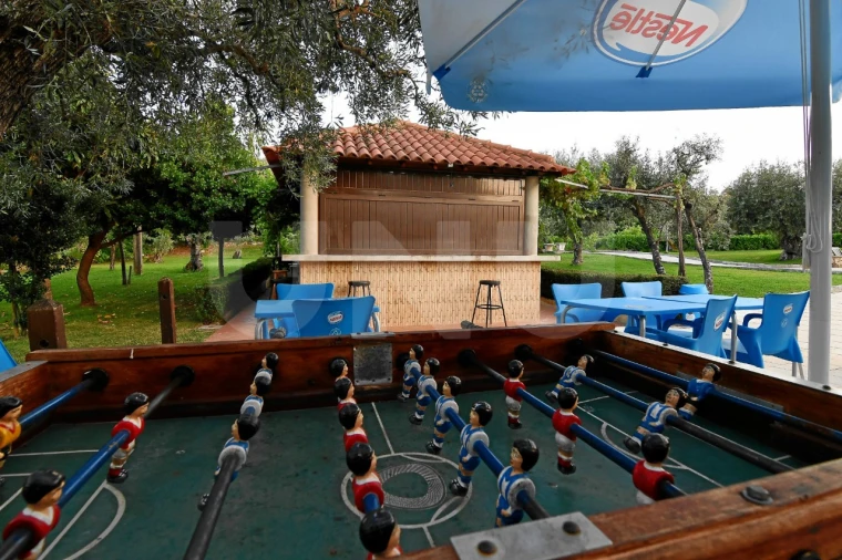 Negócio para Venda em Fundão, Valverde, Donas, A. Joanes, A. Nova Cabo Foto 105