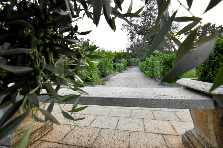 Negócio para Venda em Fundão, Valverde, Donas, A. Joanes, A. Nova Cabo Foto 111