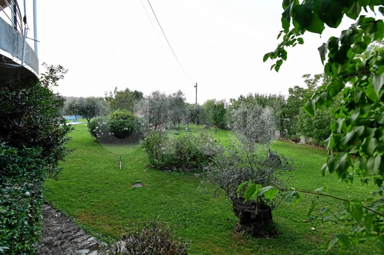 Negócio para Venda em Fundão, Valverde, Donas, A. Joanes, A. Nova Cabo Foto 112