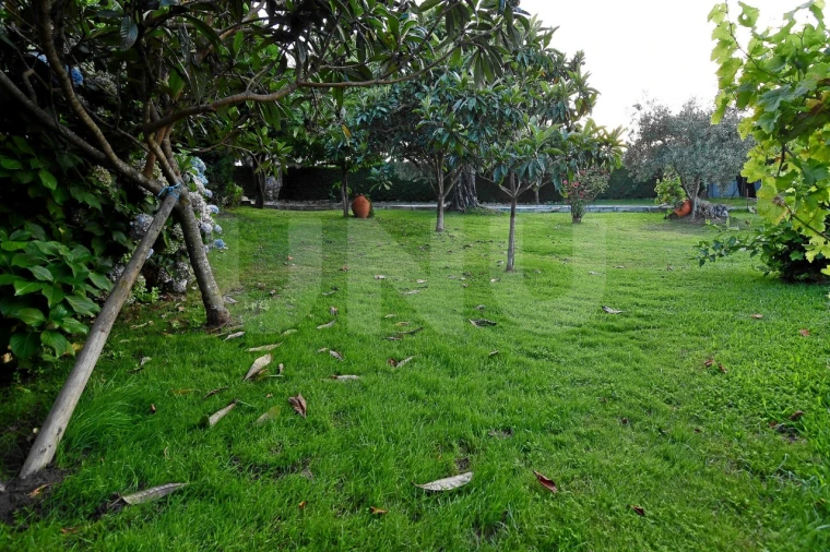 Negócio para Venda em Fundão, Valverde, Donas, A. Joanes, A. Nova Cabo Foto 115