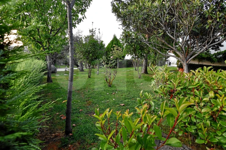 Negócio para Venda em Fundão, Valverde, Donas, A. Joanes, A. Nova Cabo Foto 122