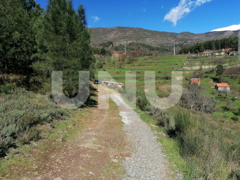 Terreno Agricola ou Rústico para Venda em Unhais da Serra Foto 2