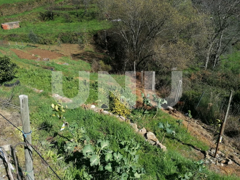 Terreno Agricola ou Rústico para Venda em Unhais da Serra Foto 8