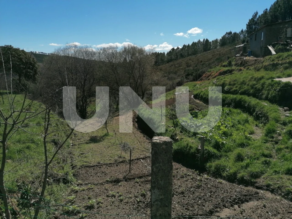 Terreno Agricola ou Rústico para Venda em Unhais da Serra Foto 13