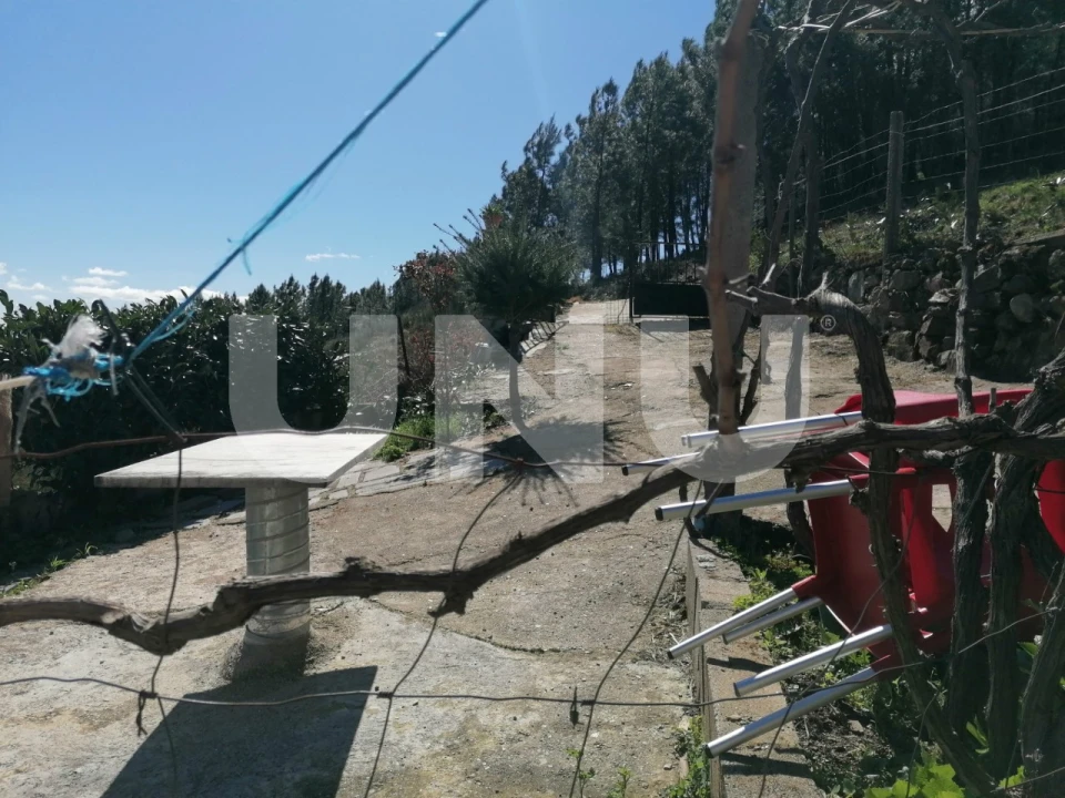 Terreno Agricola ou Rústico para Venda em Unhais da Serra Foto 6