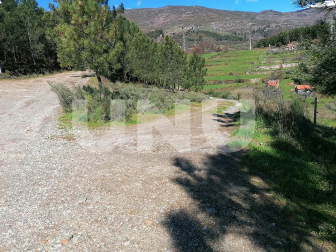Terreno Agricola ou Rústico para Venda em Unhais da Serra Foto 1