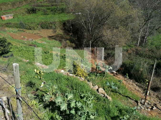 Terreno Agricola ou Rústico para Venda em Unhais da Serra Foto 8