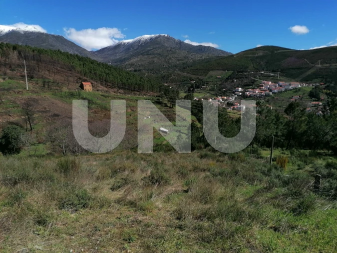 Terreno Agricola ou Rústico para Venda em Unhais da Serra Foto 16