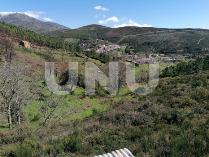 Terreno Agricola ou Rústico para Venda em Unhais da Serra Foto 17