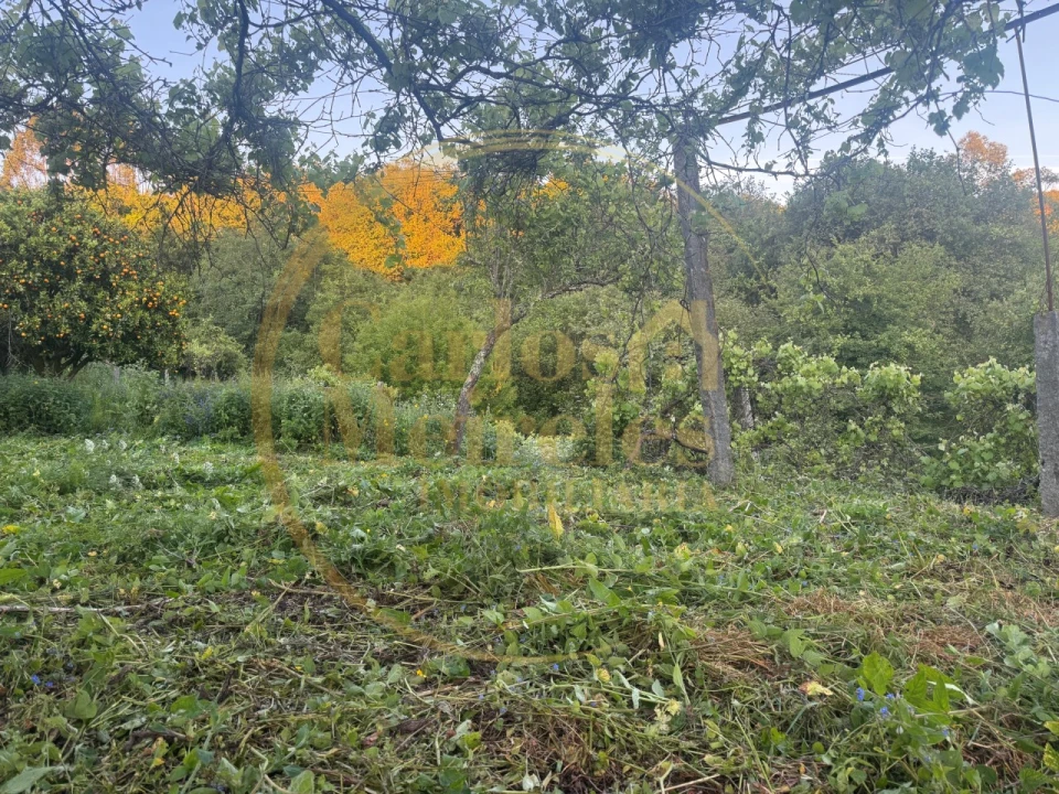 Moradia para Venda em Ribeira do Neiva Foto 13