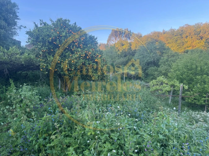 Moradia para Venda em Ribeira do Neiva Foto 17