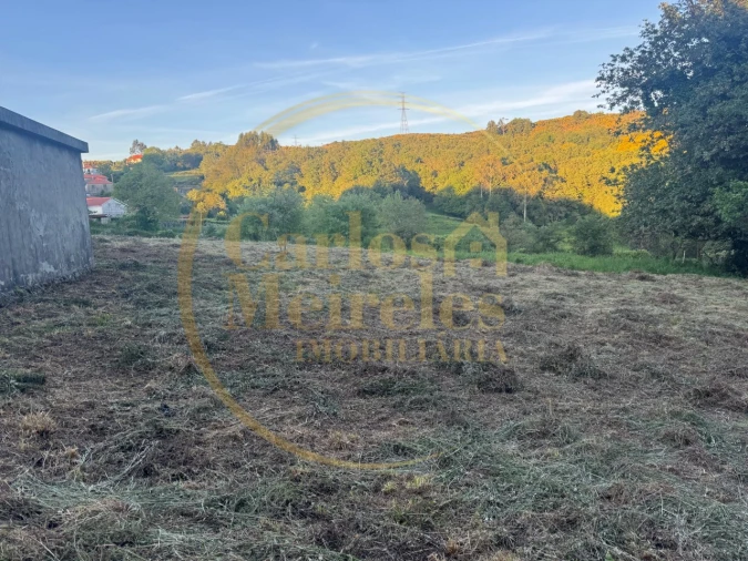 Terreno para Venda em Ribeira do Neiva Foto 5