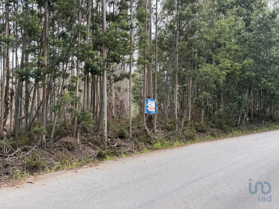 Terreno para Venda em Aguada de Cima Foto 5