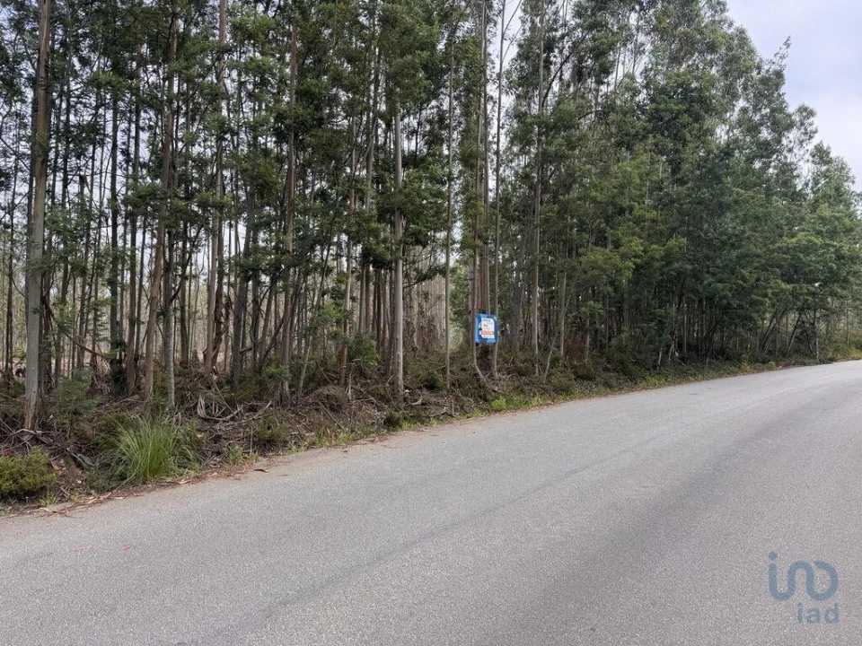 Terreno para Venda em Aguada de Cima Foto 4
