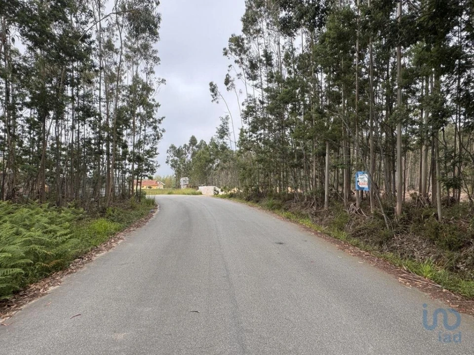 Terreno para Venda em Aguada de Cima Foto 6