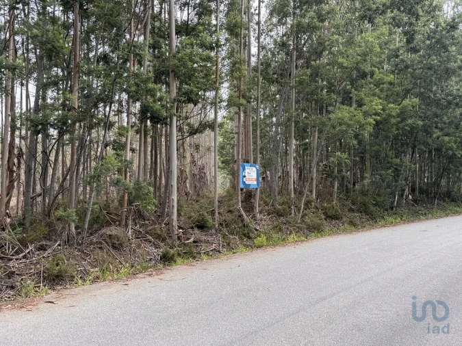 Terreno para Venda em Aguada de Cima Foto 5