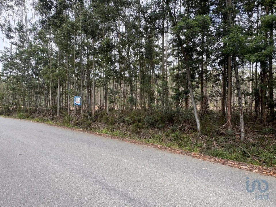 Terreno para Venda em Aguada de Cima Foto 7