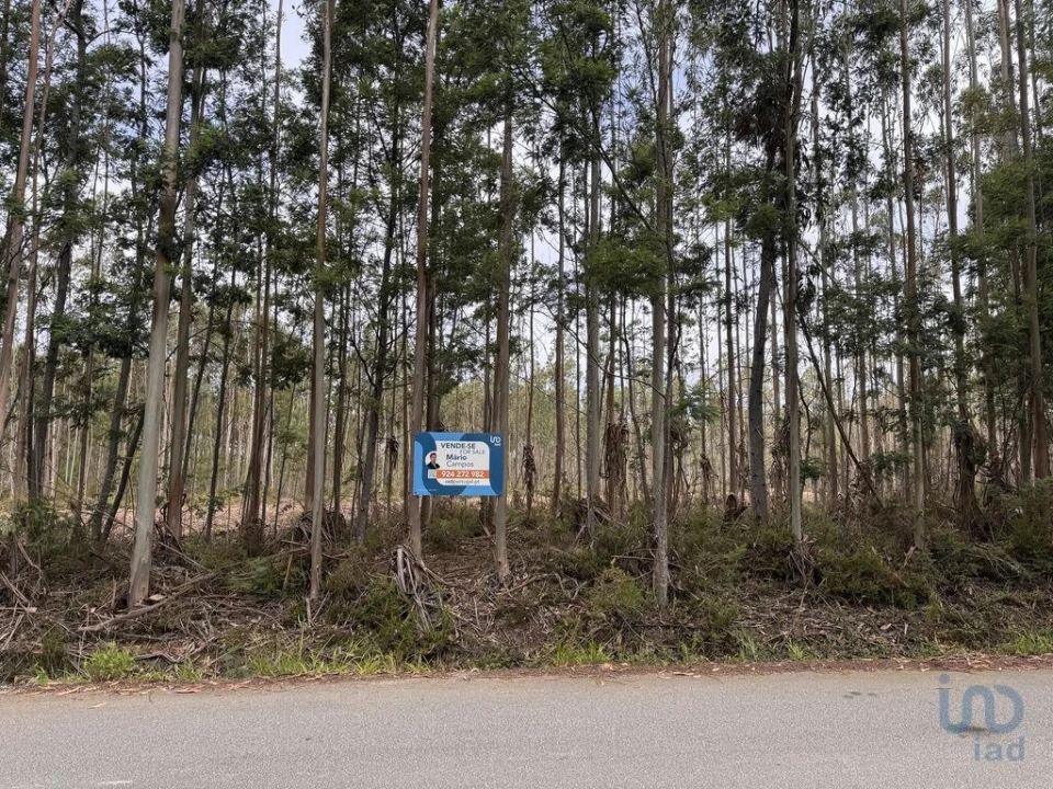 Terreno para Venda em Aguada de Cima Foto 3