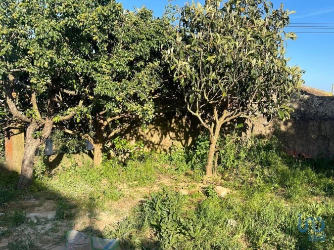 Moradia T3 para Venda em Ventosa Foto 12